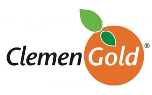 Clemen Gold Gymnastics Logo