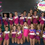Wynland Gymnastics Level 2 Club Competitions 2020